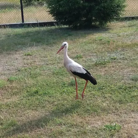 Przy Szlaku Krutyni Feriehus Spychowo
