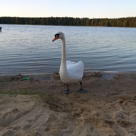 Przy Szlaku Krutyni Feriehus *